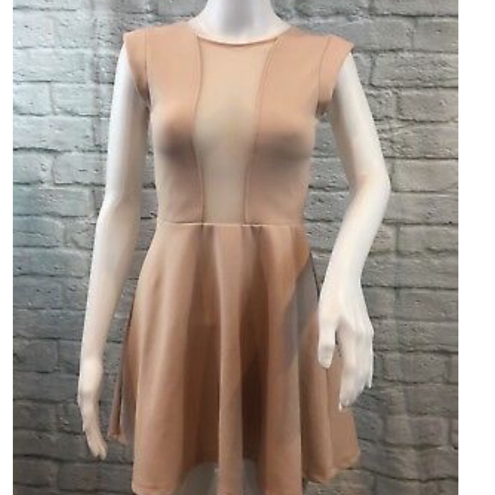 Topshop petite mesh dress